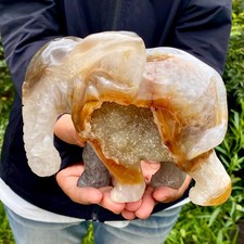 4LB   Natural Agate Geode Quartz Carved Crystal Elephant Reiki Decor picture