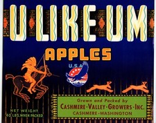U Like Um Apple Crate Label Native American Horse Hunting 1940s Vintage Original picture