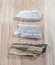 3 Vintage Texas Petrified Wood Natural Tree Fossils Bark Pieces White Brown Misc picture