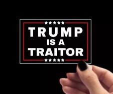 Anti Trump Funny Sticker Political Bumper Vinyl Decal 2024 Election picture