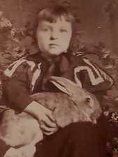 Antique 1900s Ward's Studio Visalia CA Photo Girl Holding Large Pet Rabbit Doll  picture