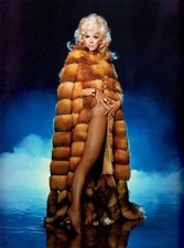 Connie Stevens Posing For Phote 8x10 Photo Print picture
