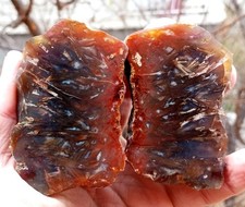 Mirror Polished Extremely Rare Turkish Red Fox Stick Agate Pair picture