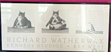 1988 RICHARD WATHERWAX FAT CAT CAPSIZING PRINT IN FRAME picture
