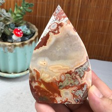 Natural money Mexico agate hand carve leaf Crystal Specimen free standing A6265 picture