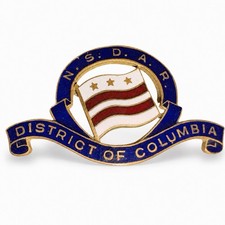 ANTIQUE NSDAR DISTRICT OF COLUMBIA ENAMEL FLAG PIN DAR J.E. & CO. R.G. picture