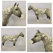 Breyer cm Stud Spider picture