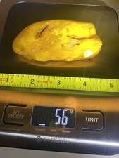 RARE AGED PATINA Baltic Butterscotch Eggyolk Amber 56 grams Polished Years Ago picture