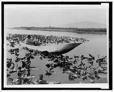 Photo:Klamath Basin Oregon Klamath Woman Dugout Canoe Wokas Season 1923 picture
