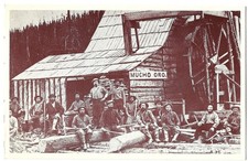 Mucho Oro Gold Claim Lowhee Creek Cariboo BC Canada Miners Vintage Postcard picture