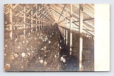 c1914-1908 RPPC Postcard AZO Real Photo Greenhouse Carnation Flowers picture
