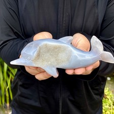 277G Natural agate geode quartz crystal engrave Dolphin skull healing gift picture