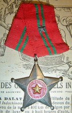 NLF SPECIAL FORCES - MEDAL - Vietnam War - VIET CONG - SOUTHERN SAPPERS - xxx picture