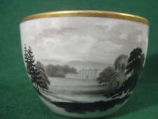 Spode Cup Antique Porcelain Early C1810 Transfer Bat Printed  Patt 276  Like 277 picture