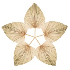 Chenkaiyang 5 Large Dried Palm Leaf Fans with Stem Wedding Vase Decor picture