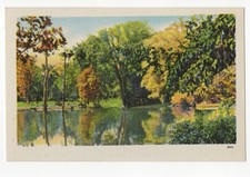 c1940 Scenic Pond Autumn Trees Reflections Colourpicture Postcard 28004 picture