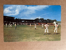 1956 The Milwaukee Braves in Training at 