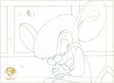 Animaniacs-Pinky and the Brain-Original Production Drawing-In The Garden w/Mindy picture