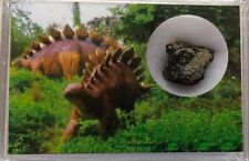Genuine Fossil Stegosaurus piece Bone Cabin Quarry Wyoming WY COA 6315 picture