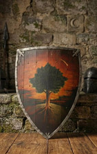 Medieval Ser Duncan The Tall Shield | Hedge Knight Tree & Star Prop 28x18 Inches picture