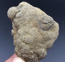 120 Gram Golden Pyrite Crystal Specimen from Afghanistan. picture
