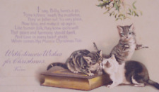 Helena Maguire Cats Kittens Mistletoe Antique Vintage Christmas Postcard picture