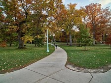 Michigan State University East Lansing Michigan 2000s Quad Walkway Trees picture