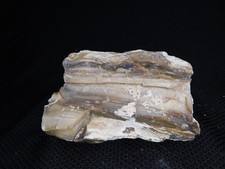 Limb Cast High Quality WA Agate Opal Pet Wood 2lbs. 2oz Vintage picture