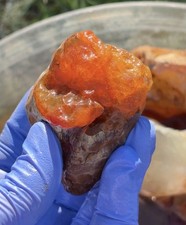 Rare PNW Agate Orange Carnelian Red Brown Scenic Banded Rough Natural Stone picture