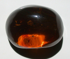 Beautiful Cherry RED Burmite Amber Fossil GEM from Dinosaur Age Untreated picture