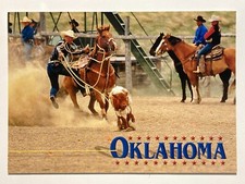 Rodeo Oklahoma Cattle Roping Picture Postcard 7616 Photo by David Stoecklein picture
