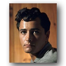John Derek Photo 8x10 Promotional Portrait 1955 Actor Film Director picture