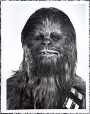 1978 Star Wars “Peter Mayhew’s Chewbacca Portrait” Type 1 Original Photo picture