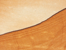 wOw LARGER PICTURE Stone or SANDSTONE Slice/Slab with Display Stand Utah 472gr picture