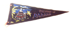 Vintage “Souvenir Of Pahama” Black Embellished Graphic Felt Pennant 22 1/4” picture