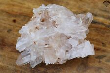 Natural Small Pointed Pink Quartz Rough Healing Crystal 460 gm Minerals Specimen picture