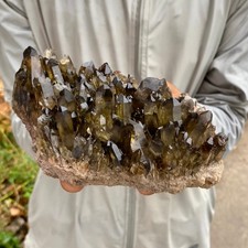 1.39LB Natural smoky black quartz cluster crystal mineral specimen healing picture