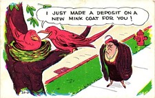 Vintage Laff Gram Comic Postcard Birds Mink Coat Humorous Cartoon Baxtone picture