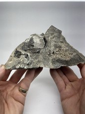 Massive Herkimer Diamond in Dolostone Matrix - Herkimer County, NY picture