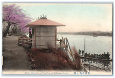 c1910 Cherry Blossom Ferryboat Mukojima Tokyo Japan Antique Postcard picture