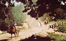 1971 MI Metamora Horseback riding D-Bar-A Boy Scouts of America postcard BS1 picture