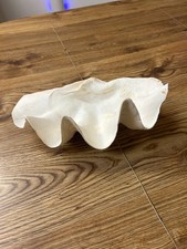 Tridacna Gigas 12 inches picture