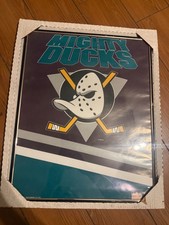 Vintage Licensed Anaheim Mighty Ducks - NHL Starline Wall Poster 22” x 18” picture
