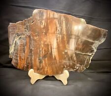 Beautiful Jumbo Petrified Wood Slab picture