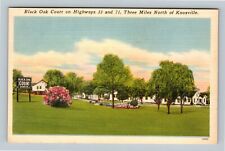 Knoxville TN, Black Oak Court, Tennessee Vintage Postcard picture
