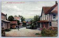 WA1/ Eldred New York Postcard c1910 Main Street South Hotel Store 170 picture
