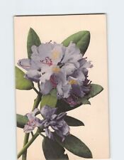 Postcard Flower Plant Print picture