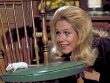 Samantha turns Darrin into a Mouse on BEWITCHED Picture Photo Print 6