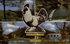 Dorking Surrey Co England rooster River Mole Friday Street multiview postcard picture