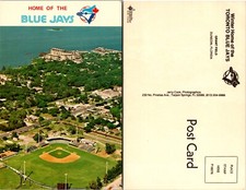Toronto Blue Jays Spring Training Dunedin Florida FL Postcard picture